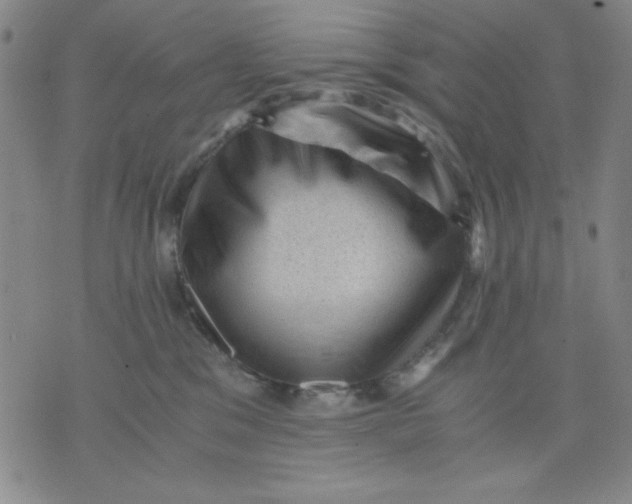 X0000076030329200610152053