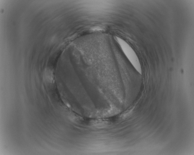 X0000076030331200610152053