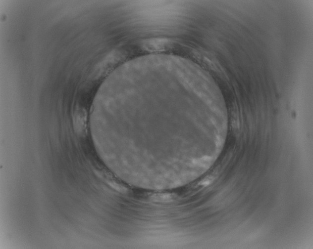 X0000076030332200610152053