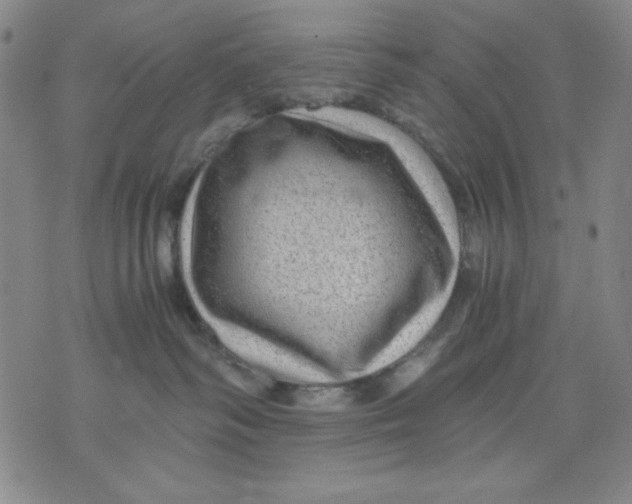 X0000076030334200610152053