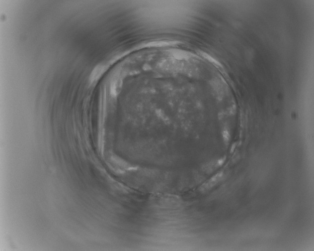 X0000076030337200610152052