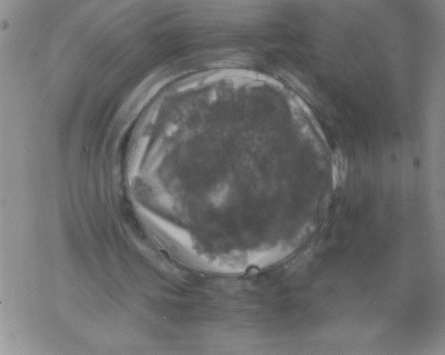 X0000076030339200610152052