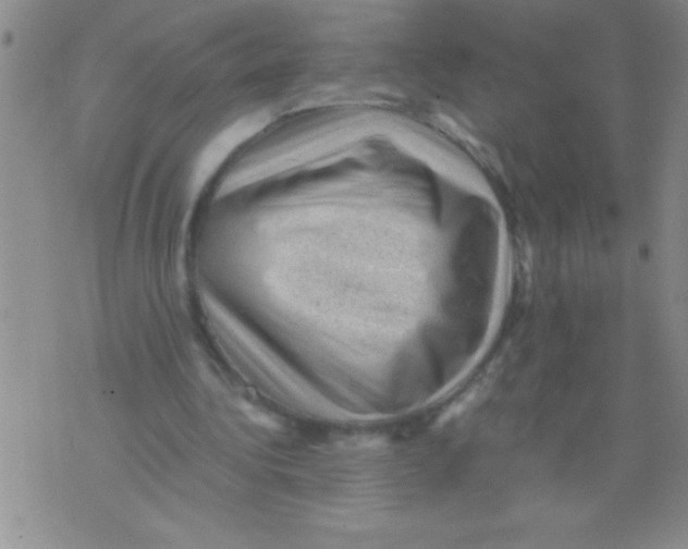 X0000076030340200610152053