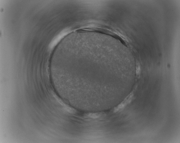 X0000076030341200610152053