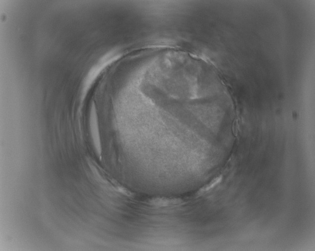 X0000076030343200610152053