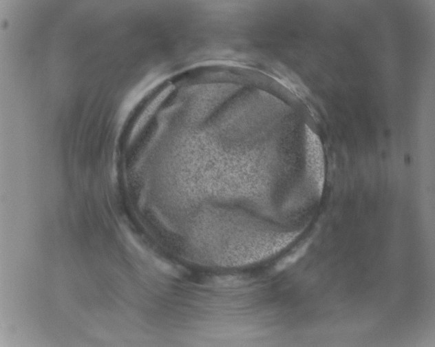 X0000076030344200610152053