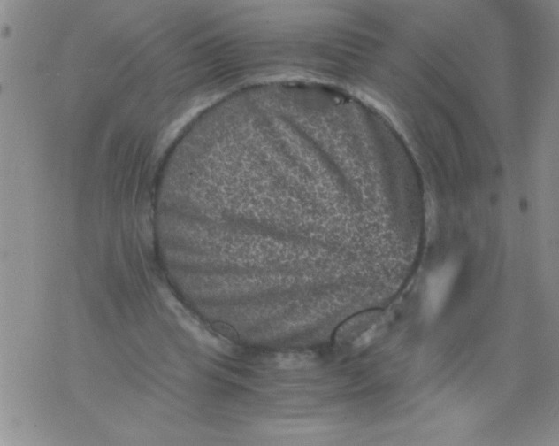 X0000076030345200610152053