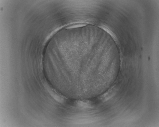 X0000076030346200610152053