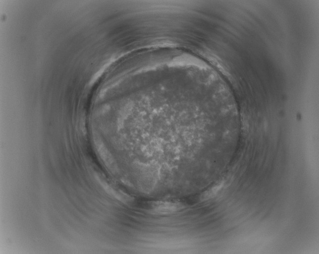 X0000076030347200610152053