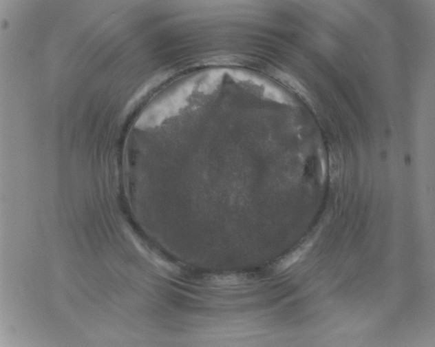 X0000076030349200610152053