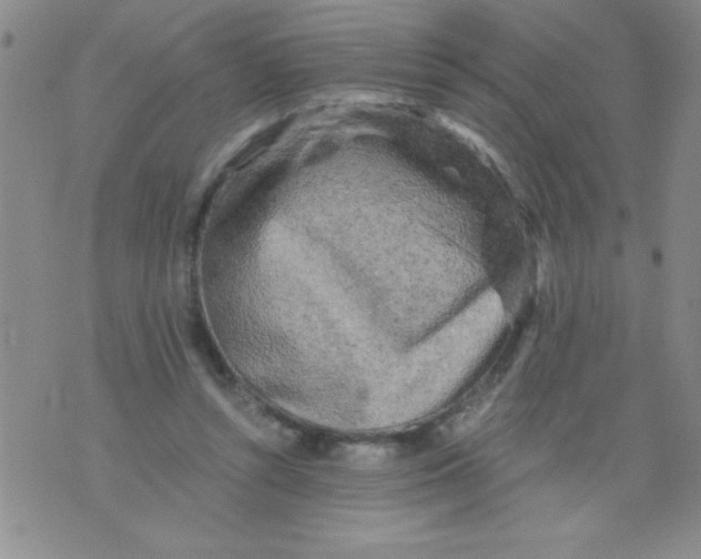 X0000076030352200610152053