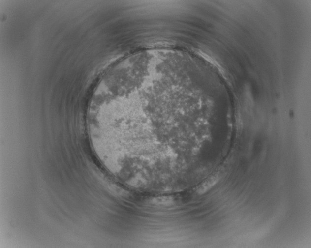 X0000076030353200610152053