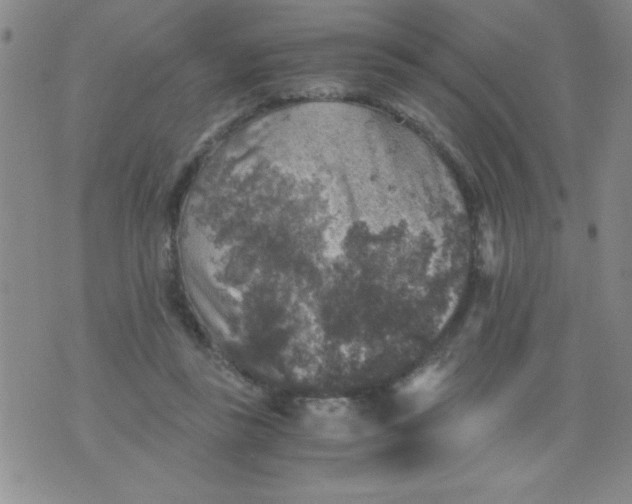 X0000076030355200610152053