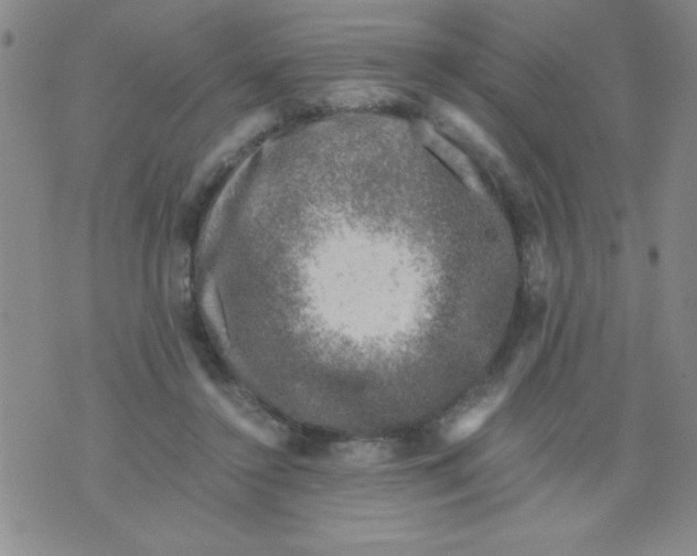 X0000076030356200610152053