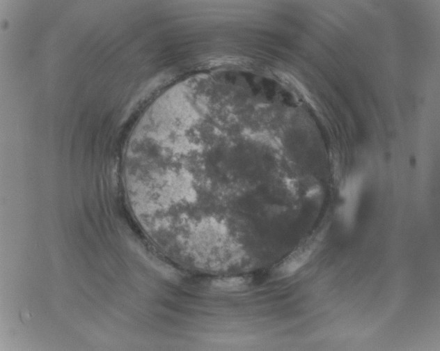 X0000076030357200610152053