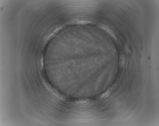 X0000076030358200610152053