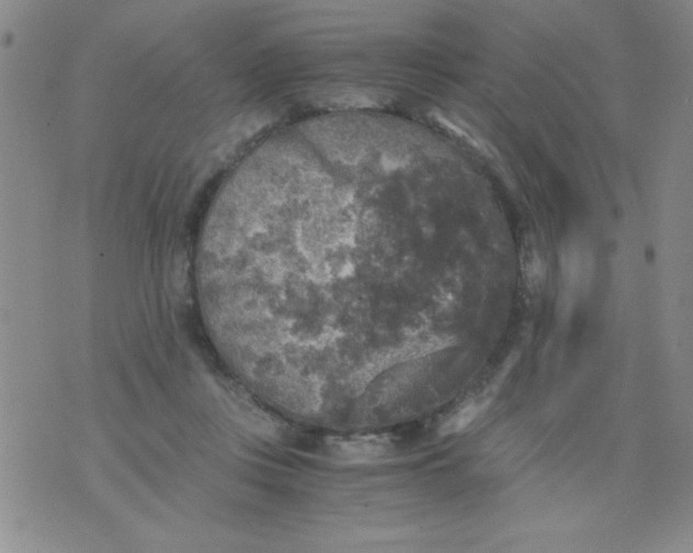 X0000076030359200610152053