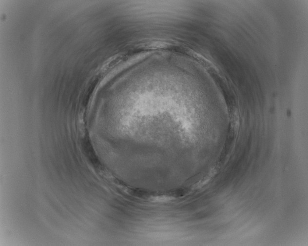 X0000076030360200610152053