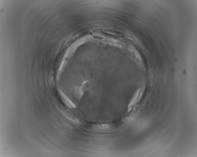 X0000076030361200610152053