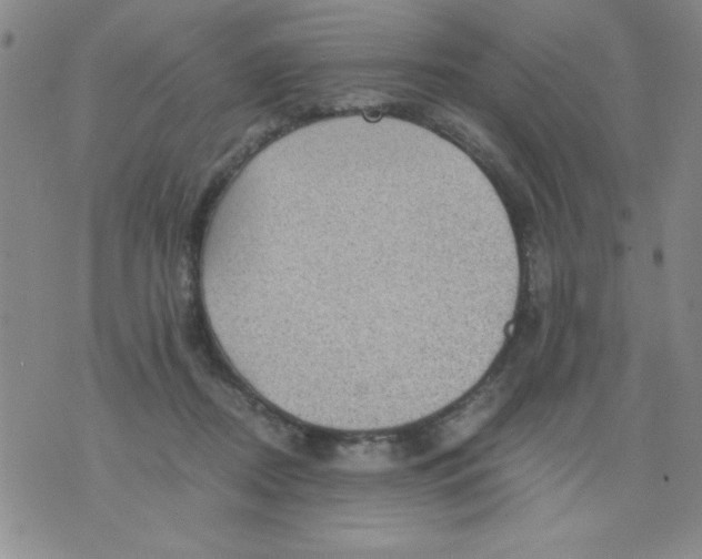 X0000076030362200610152053