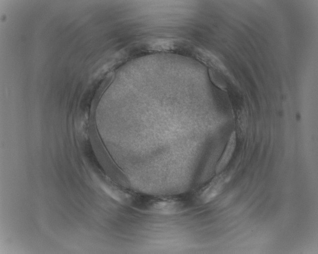 X0000076030364200610152053