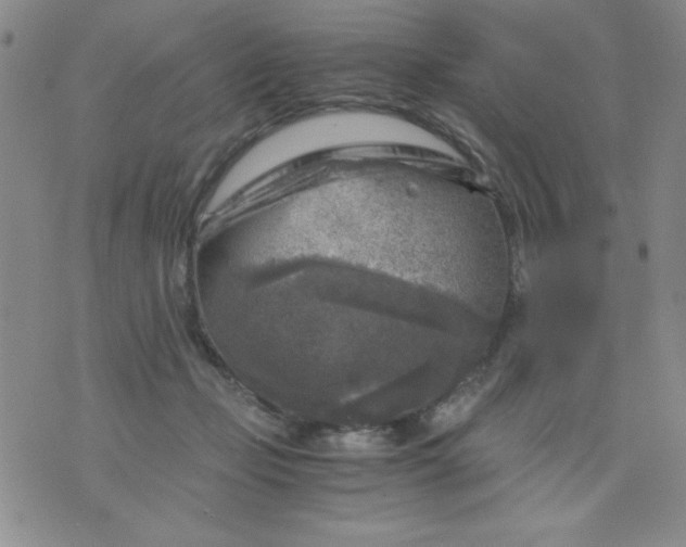 X0000076030365200610152053