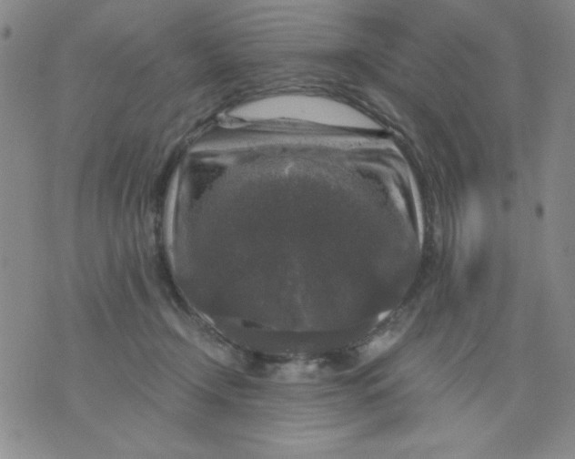 X0000076030366200610152053