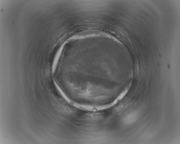 X0000076030367200610152053