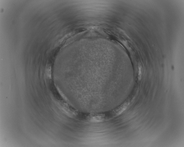 X0000076030368200610152053