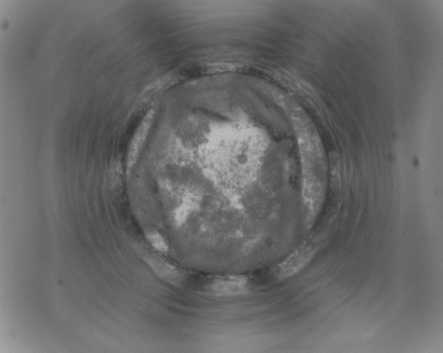 X0000076030369200610152053