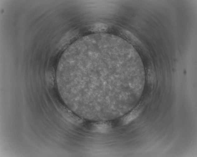 X0000076030370200610152053