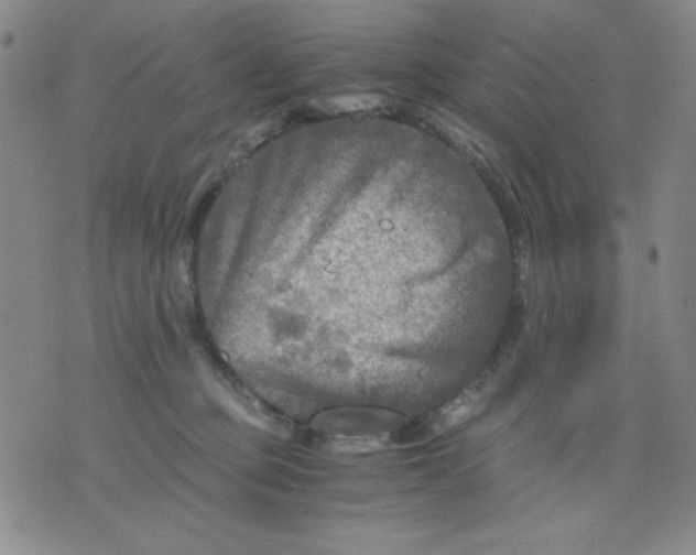 X0000076030373200610152053