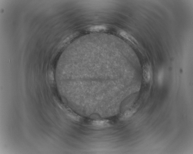 X0000076030375200610152053