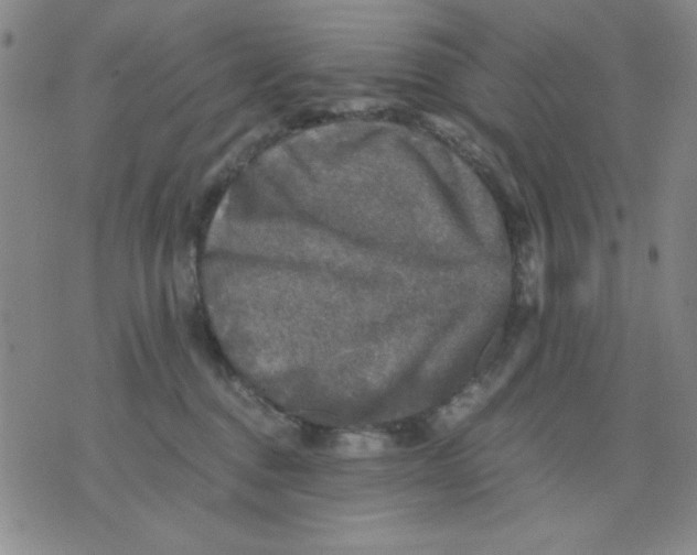 X0000076030376200610152053