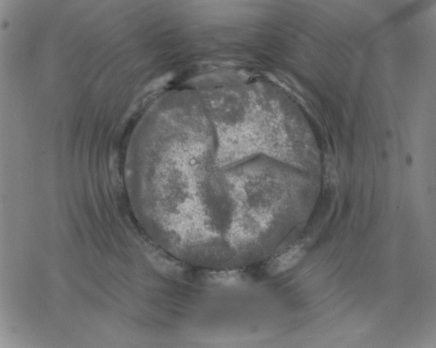 X0000076030377200610152053