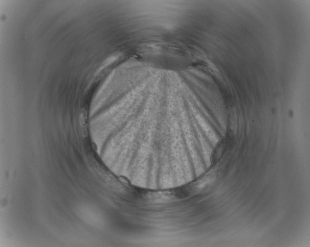 X0000076030378200610152053