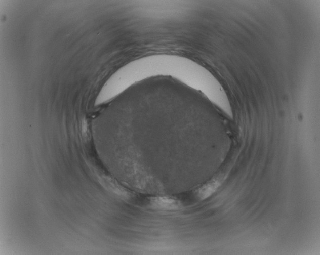 X0000076030380200610152053