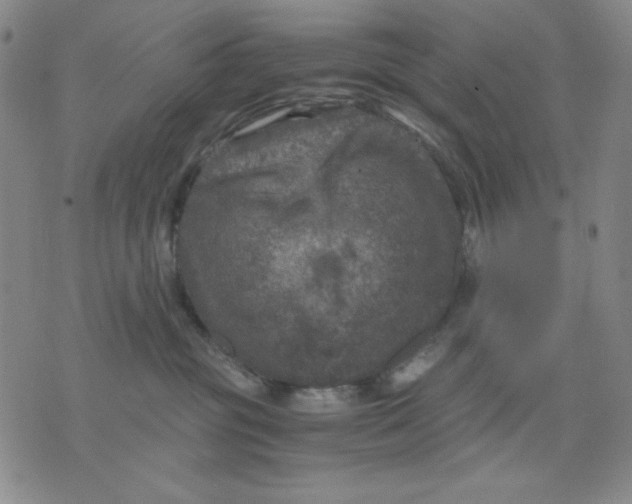 X0000076030381200610152053