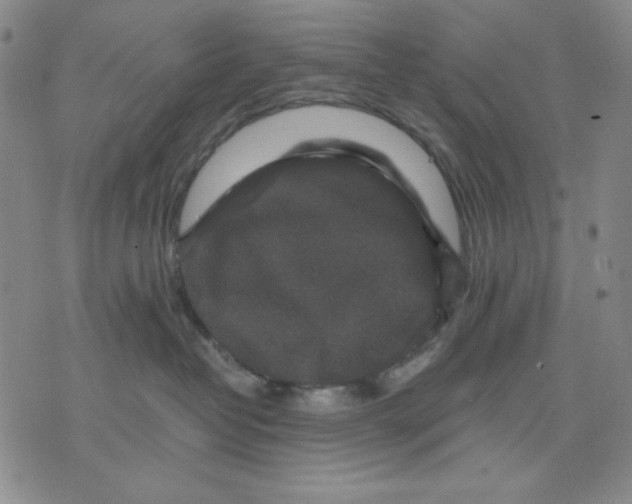 X0000076030382200610152053