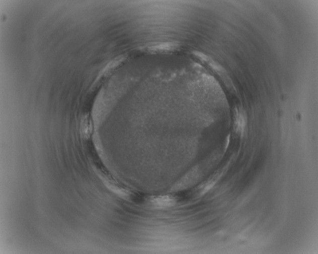 X0000076030383200610152053