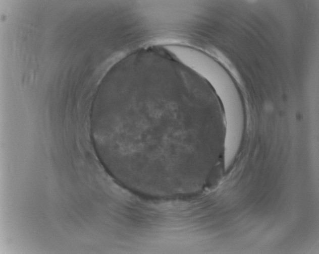 X0000076030385200610152052