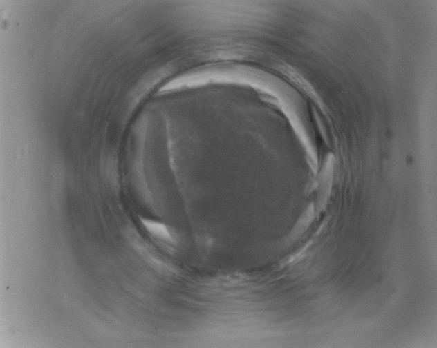 X0000076030386200610152052