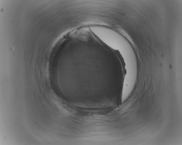 X0000076030387200610152052