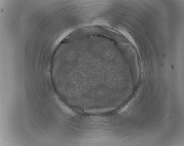 X0000076030389200610152052