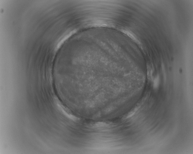 X0000076030390200610152052