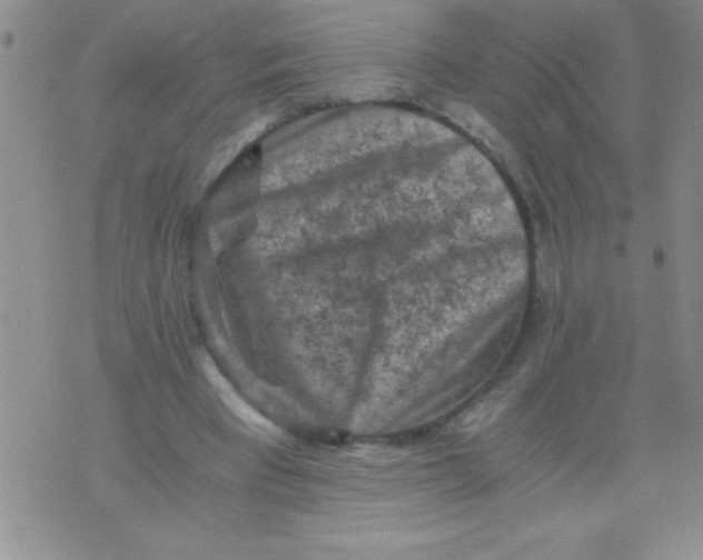 X0000076030393200610152052