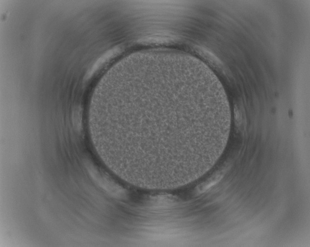 X0000076030396200610152052