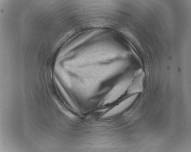 X0000076030397200610152052