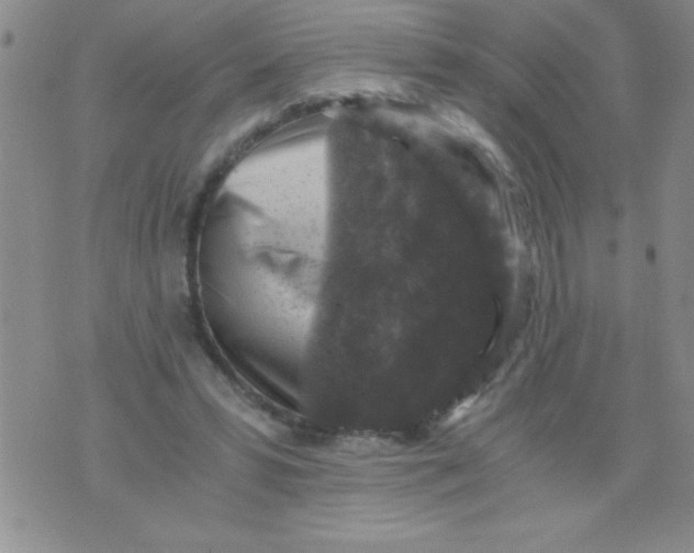 X0000076030399200610152052