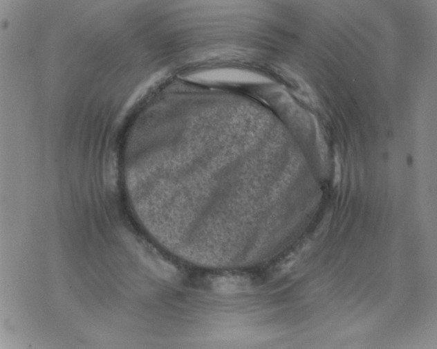 X0000076030400200610152052